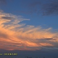 IMG_0265.jpg