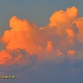 IMG_7299.jpg