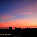 IMG_9544.jpg