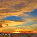 IMG_8026.jpg