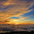 IMG_8025.jpg