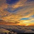IMG_8024.jpg