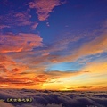 IMG_8047.jpg
