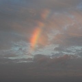 IMG_8913.jpg