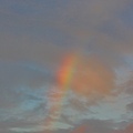 IMG_8916.jpg