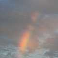 IMG_8914.jpg
