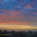 IMG_8835.jpg