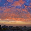 IMG_8880.jpg