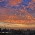 IMG_8895.jpg