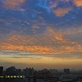 IMG_8905.jpg