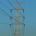 IMG_7437.jpg