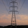 IMG_9731.jpg