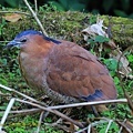 IMG_0351.jpg