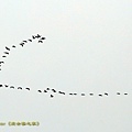 IMG_3779.jpg