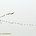 IMG_3780.jpg