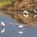 IMG_5445.jpg