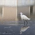 IMG_5447.jpg
