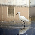 IMG_5448.jpg