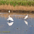 IMG_5449.jpg