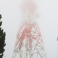 IMG_4321.jpg