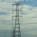 IMG_3132.jpg