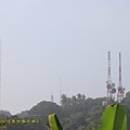 IMG_4588.jpg