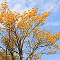 IMG_6828.jpg