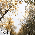 IMG_6826.jpg