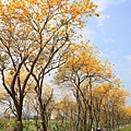 IMG_6831.jpg