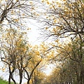 IMG_6825.jpg