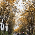 IMG_6830.jpg
