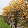 IMG_6832.jpg