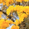 IMG_6836.jpg