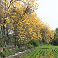 IMG_6837.jpg