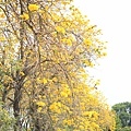 IMG_6838.jpg