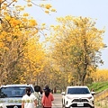 IMG_6841.jpg