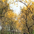 IMG_6839.jpg