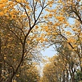 IMG_6840.jpg