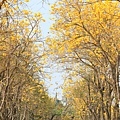 IMG_6844.jpg