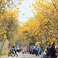 IMG_6846.jpg