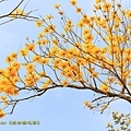 IMG_6847.jpg
