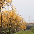 IMG_6848.jpg