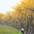IMG_6852.jpg