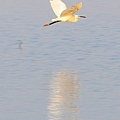 IMG_0221.jpg
