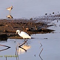IMG_0216.jpg