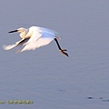 IMG_0219.jpg