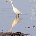 IMG_0217.jpg