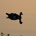 IMG_7630.jpg