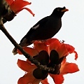 IMG_7424.jpg