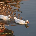 IMG_7646.jpg